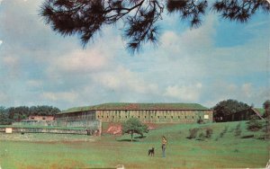 Fort San Carlos & Barrancas Pensacola, Fl. Man with Dog Postcard 10c1-557