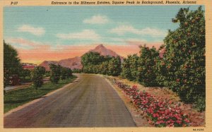 Vintage Postcard Biltmore Estates Entrance Squaw Peak Flowers Phoenix Arizona AZ