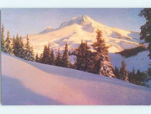 Unused Pre-1980 SKIING SCENE Mount Hood - Portland Oregon OR ho8240