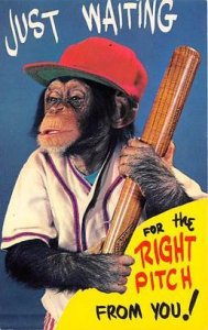  Base Ball Baseball Postcard