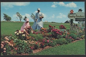 PEI Prince Edward Island YORK Jewell's Country Gardens Beautiful Girls ~ Chrome