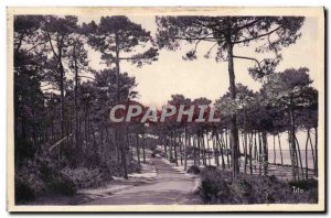 Old Postcard Moulleau Corniche Road