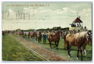 1909 Live Stock Parade At SD State Fair Huron South Dakota SD Antique Postcard