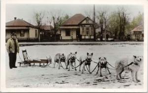 Andy's Team of Huskies Sicamous BC Dog Sled Gowen Sutton Real PhotoPostcard E37