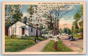 1940 Norris Tennessee Vintage Postcard Spring-Time Scene Model Town Street Road
