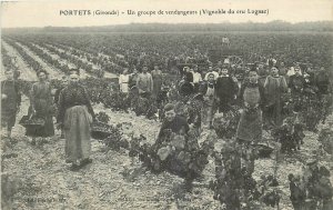 c1910 Porters Gironde farming vegetable pickers occupation Postcard 25-2690