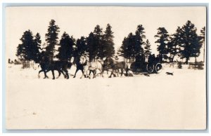 c1910's Horse Team Sleigh Dog Candid Winter Unposted Antique RPPC Photo Postcard