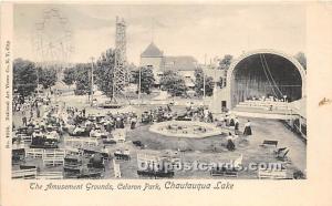 The Amusement Grounds, Celoron Park Chautauqua Lake, NY, USA Writing on back 