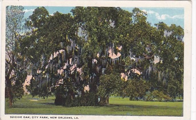 Louisiana New Orleans Suicide Oak In City Park Curteich