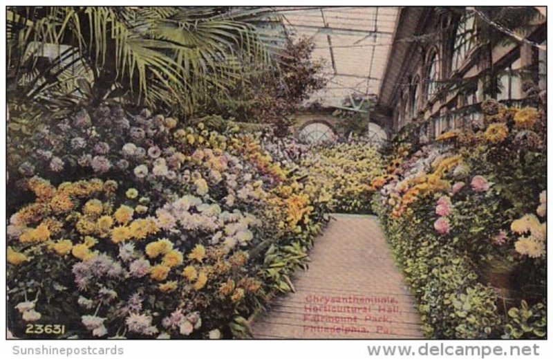 Chrysantheme Horticuitural Hall Fairmount Park Philadelphia Pennsylvania 1910