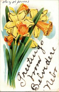 Greetings from BElvidere NE Daffodils Glitter Vintage Postcard F67