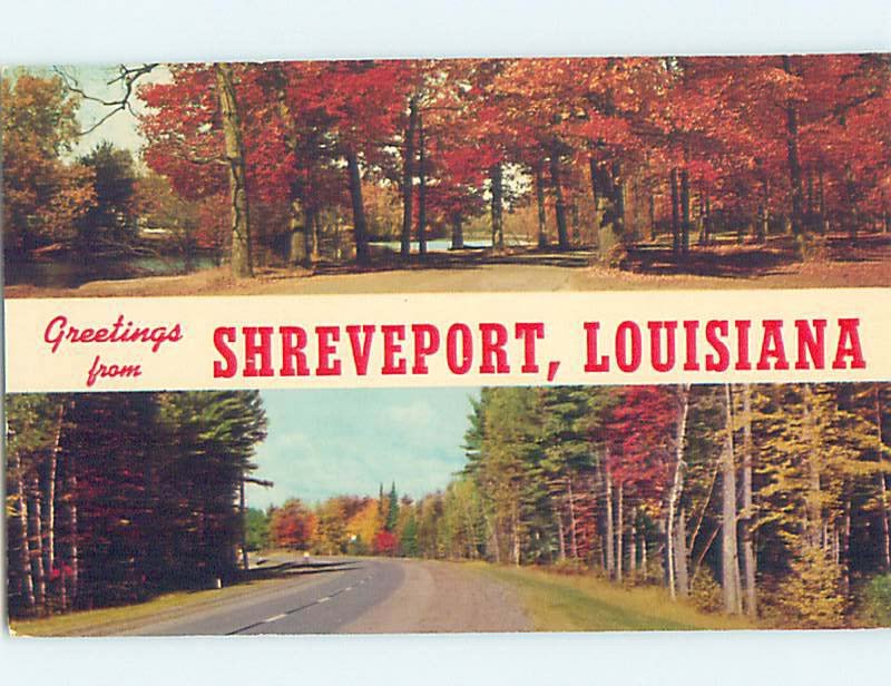 Pre-1980 NATURE SCENE Shreveport Louisiana LA AD3107