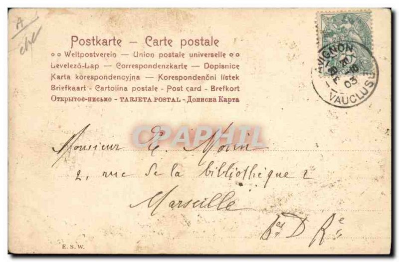 Old Postcard Artist Horse Donkey Mule