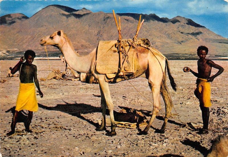 BF36338 caravaniers sur le lac assal Djibouti  front/back scan