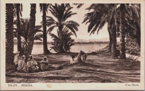 Algeria Biskra Une Oasis Vintage Postcard C166