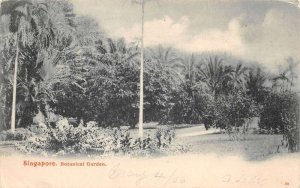 Singapore Botantical Garden Scenic View Vintage Postcard AA69875