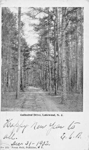 LAKEWOOD NEW JERSEY~CATHEDRAL DRIVE~FRANZ HULD 1902 POSTCARD