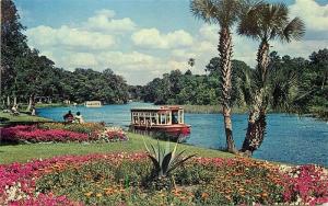 FL, Silver Springs, Florida, Glass Bottom Boats, Colourpicture No. P59477