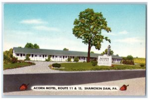 Shamokin  Dam Pennsylvania Postcard Acorn Motel Exterior c1940 Vintage ANtique