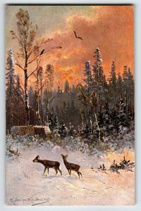 Deer Sunset View Bird Snow Trees Postcard Signed Muller Wildlife HKM 419 Germany