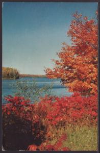 Fall Lake Scene Postcard BIN