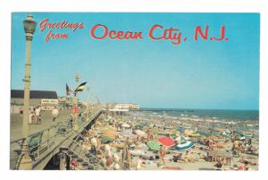 Greetings from Ocean City NJ Beach and Boardwalk Jack Freeman Vintage Postcard