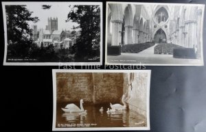 Somerset 3 x WELLS CATHEDRAL - Old RP Postcard by Walter Scott