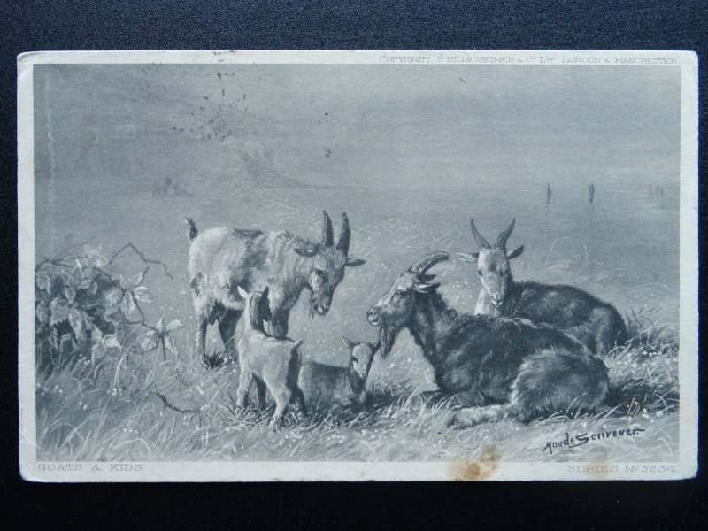 Country Life 5 x FARM YARD ANIMALS c1904 Postcard by Hildesheimer 5234