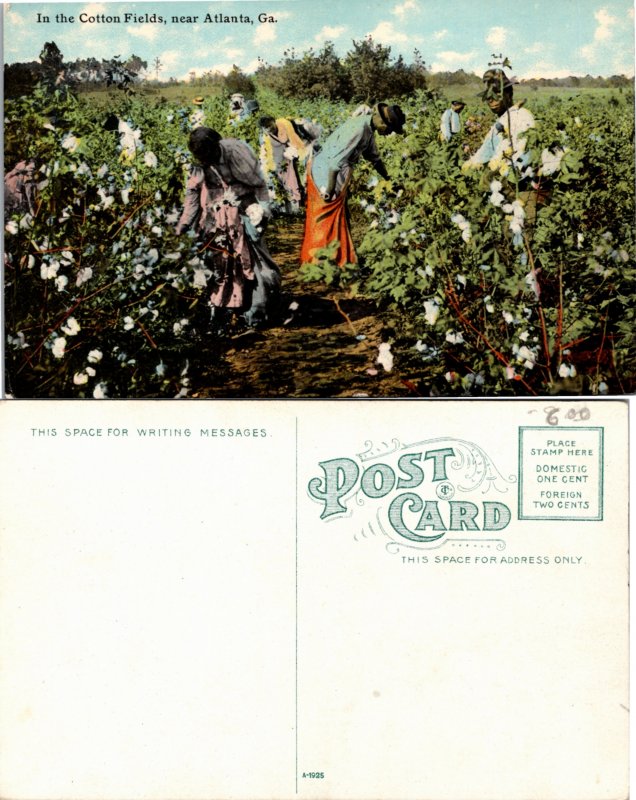 In the Cotton Fields, near Atlanta, Ga., Black Americana (19572