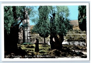 C. 1910 Jeruslem Garden Of Gethsemane Hand Colored RPPC Postcard F144E