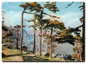 Postcard Modern Colors and Light of France Corsica Oasis Beauty Col de Bavella