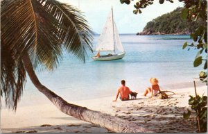 Postcard St. John  Virgin Islands White Sand Beach couple with dog and sailboat