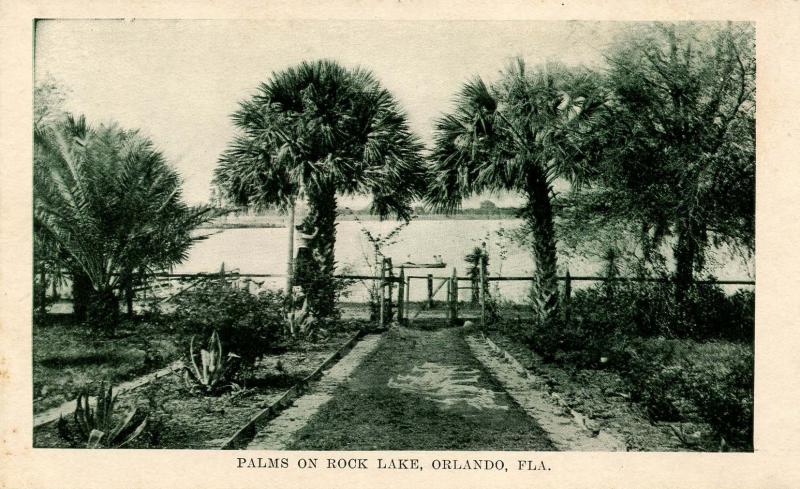 FL - Orlando. Rock Lake, Palms