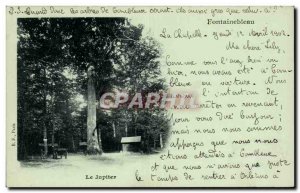 Old Postcard Fontainebleau