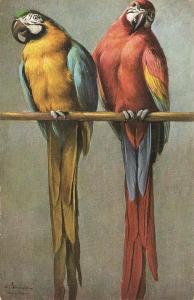 \Two parrots\ Nice antique German postcard, signed