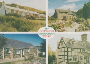 555 Cottages Throughout Wales Powys Holiday Cottage Advertising Postcard