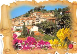 B50791 Bormes Les Mimosas  france