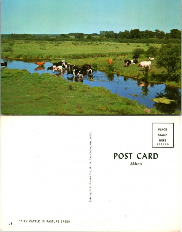 Dairy Cattle in Pasture (11657)