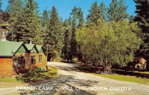 Hill City South Dakota Harney Camp Street View Vintage Postcard K49057
