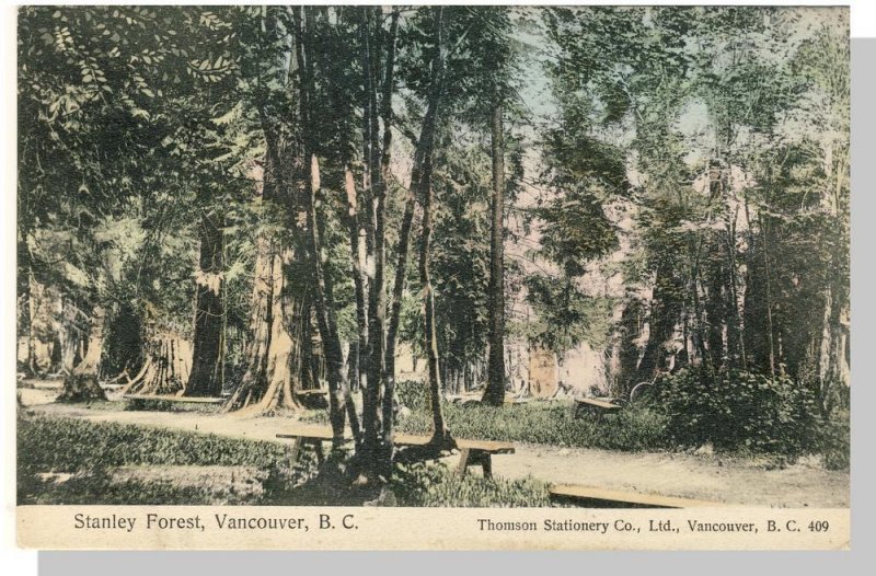 Vancouver, BC/B.C., Canada Postcard, Stanley Forest