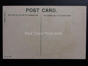 E.Chandler: Comic Postcard Teacher Theme PUNCTUATING THAT SENTENCE.... c1908