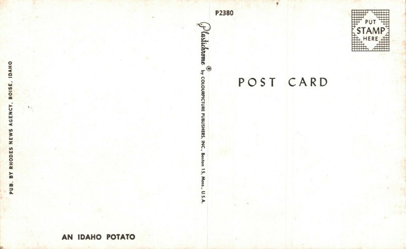 USA An Idaho Potato Vintage Postcard 08.45