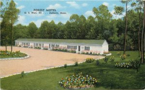 1950a Massachusetts Auburn Forest Motel Shaul Kropp Postcard 22-11514