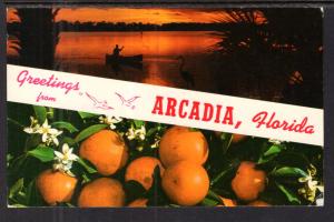 Greetings From Arcadia,FL Oranges BIN