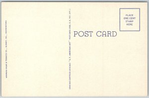 Americus Georgia 1940s Postcard Windsor Hotel