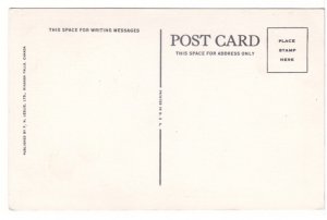 American Falls From Below, Niagara Falls Vintage Linen Postcard