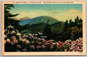 Vtg North Carolina NC Mount Mitchell Yancey County 1940s View Linen Postcard