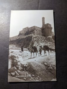 Mint USA RPPC Postcard Citadel of Zion Palestine Israel Camels