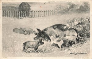 ST JUST ENGLAND 1905 PMK~MOTHER PIG & PIGLETS~ARTIST MAUDE SCRIVENER POSTCARD