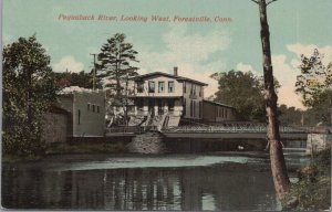 Postcard Pequabuck River Looking West Forestville CT